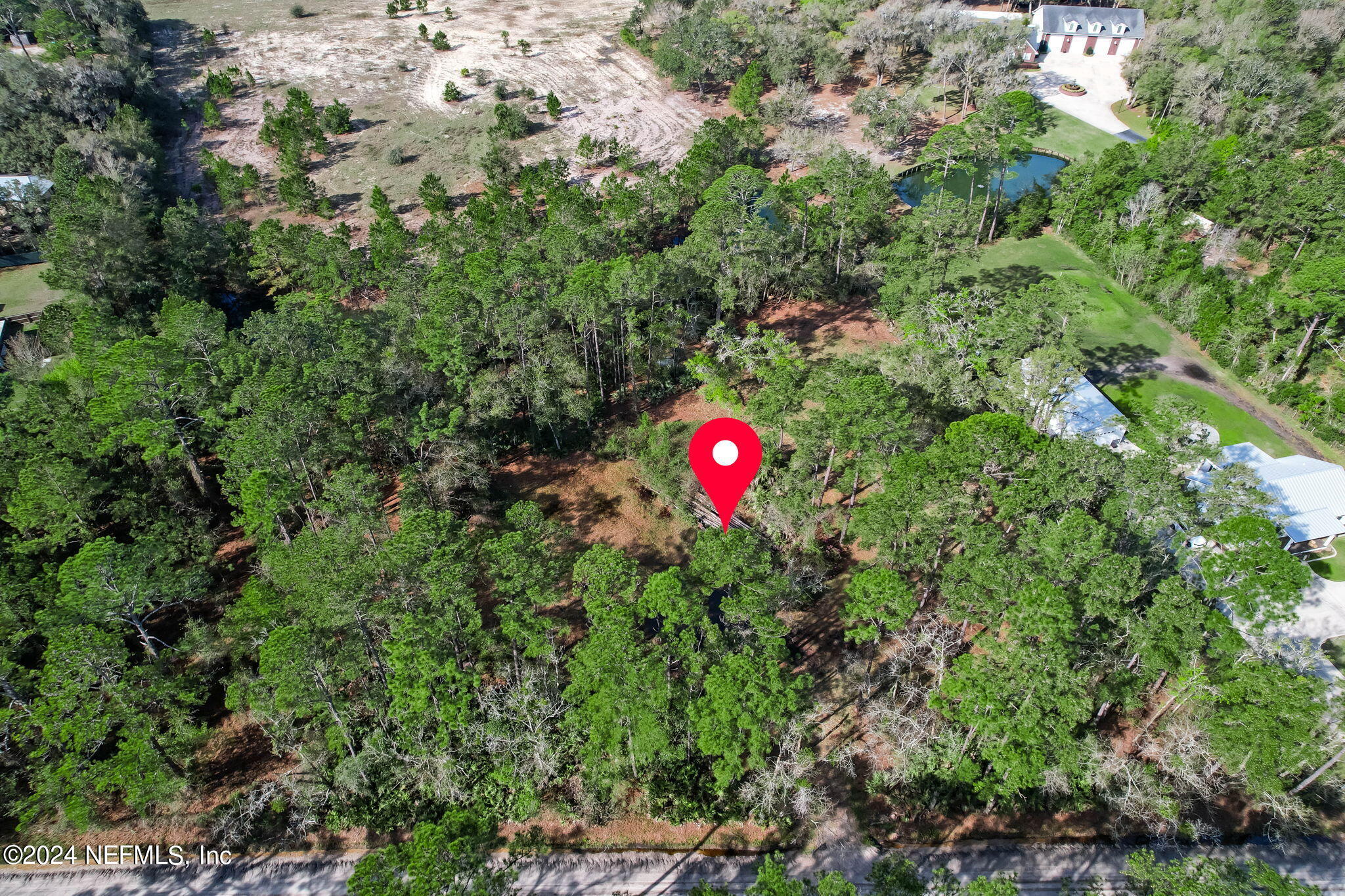 87273 Raddin Road Yulee, FL 32097 - Photo 8 of 14 a view of a tree in a yard