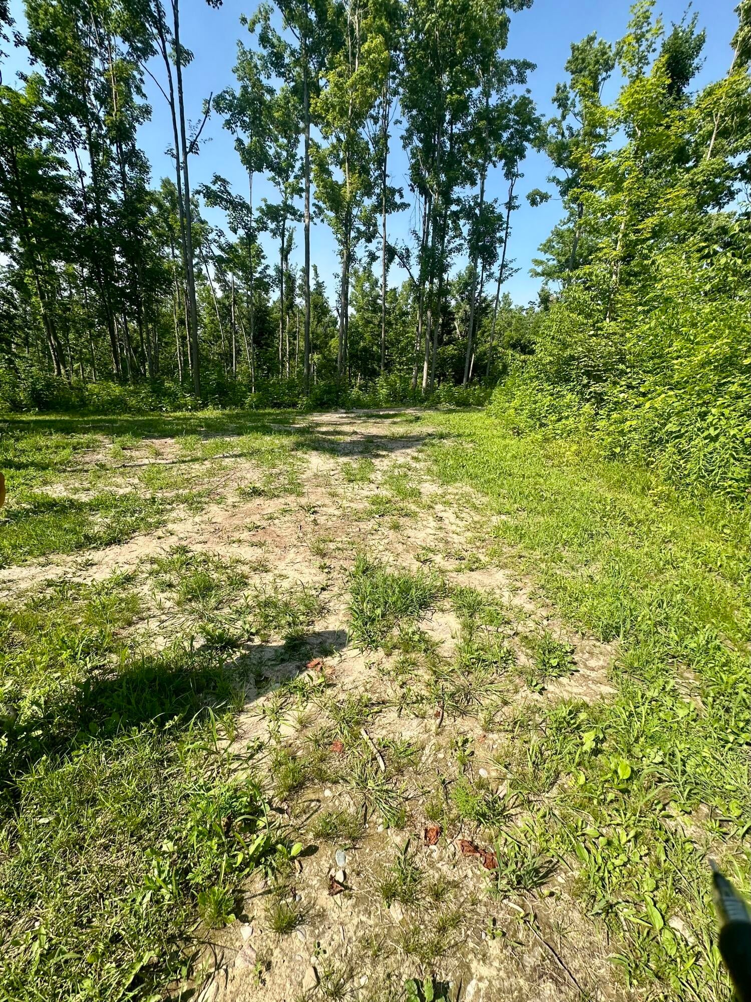 22606 Banks Road Hillman, MI 49746 - Photo 10 of 17 Gallery Image 10