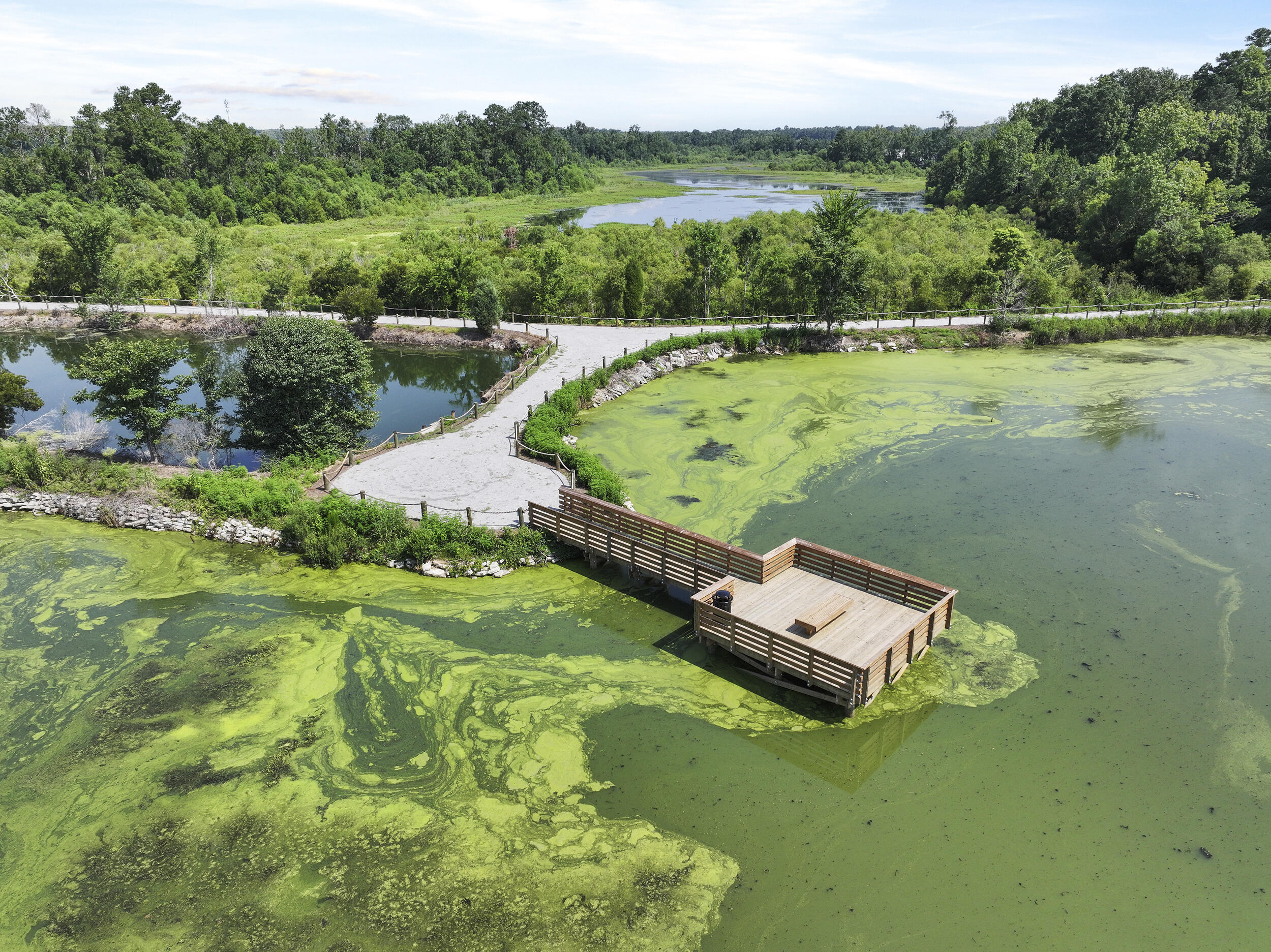 474 Tulip Poplar Drive Moncks Corner, SC 29461 - Photo 15 of 37 24_dji_20250625105827_0153_d