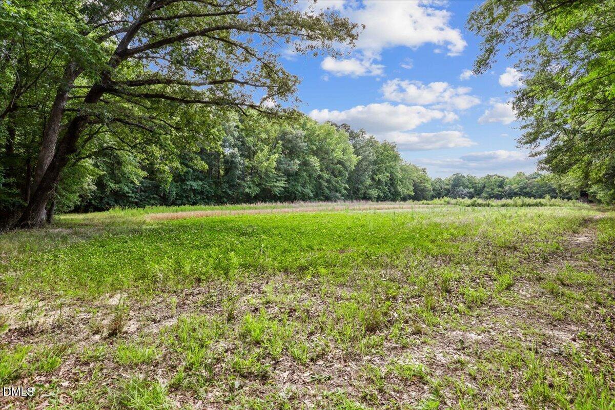 0 Antioch Church Road Middlesex, NC 27557 - Photo 7 of 26
