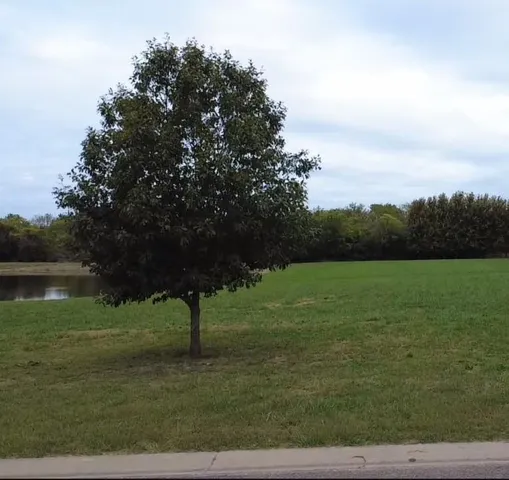 $165,000 | 27506 Oakhaven Drive, Greenwood, MO 64034