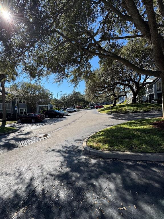 2549 Grassy Point Drive, Unit 203 Lake Mary, FL 32746 - Photo 22 of 22 a view of yard with green space