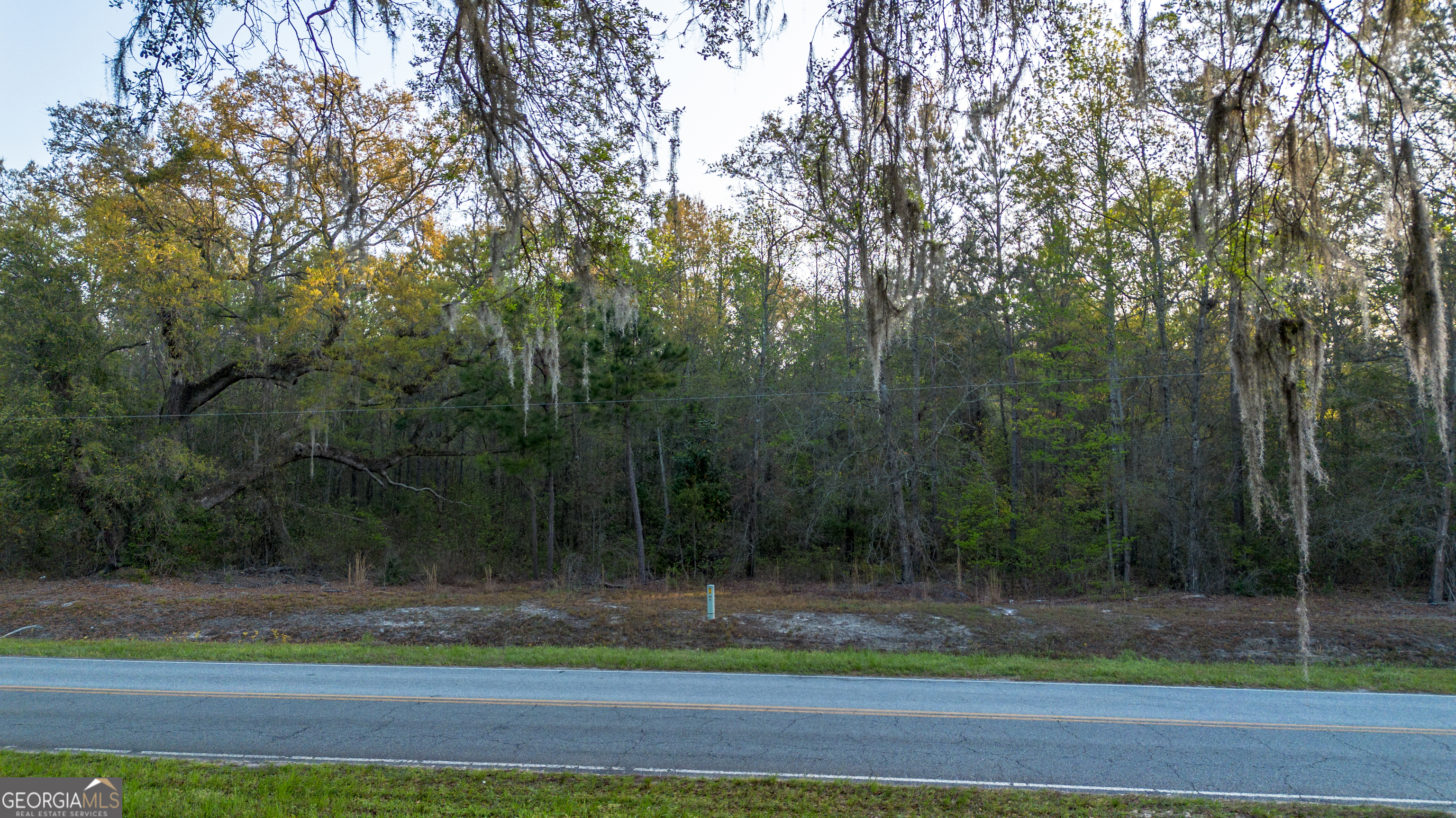 0 Little McCall Road Rincon, GA 31326 - Photo 11 of 12 a view of a yard in a house