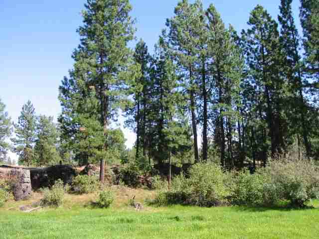 0 West Drumheller Road Cheney, WA 99004 - Photo 3 of 5