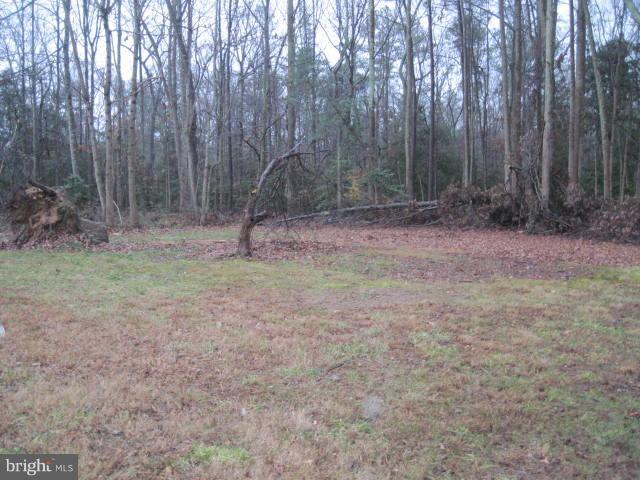 43379 Medleys Neck Road Leonardtown, MD 20650 - Photo 16 of 21 View
