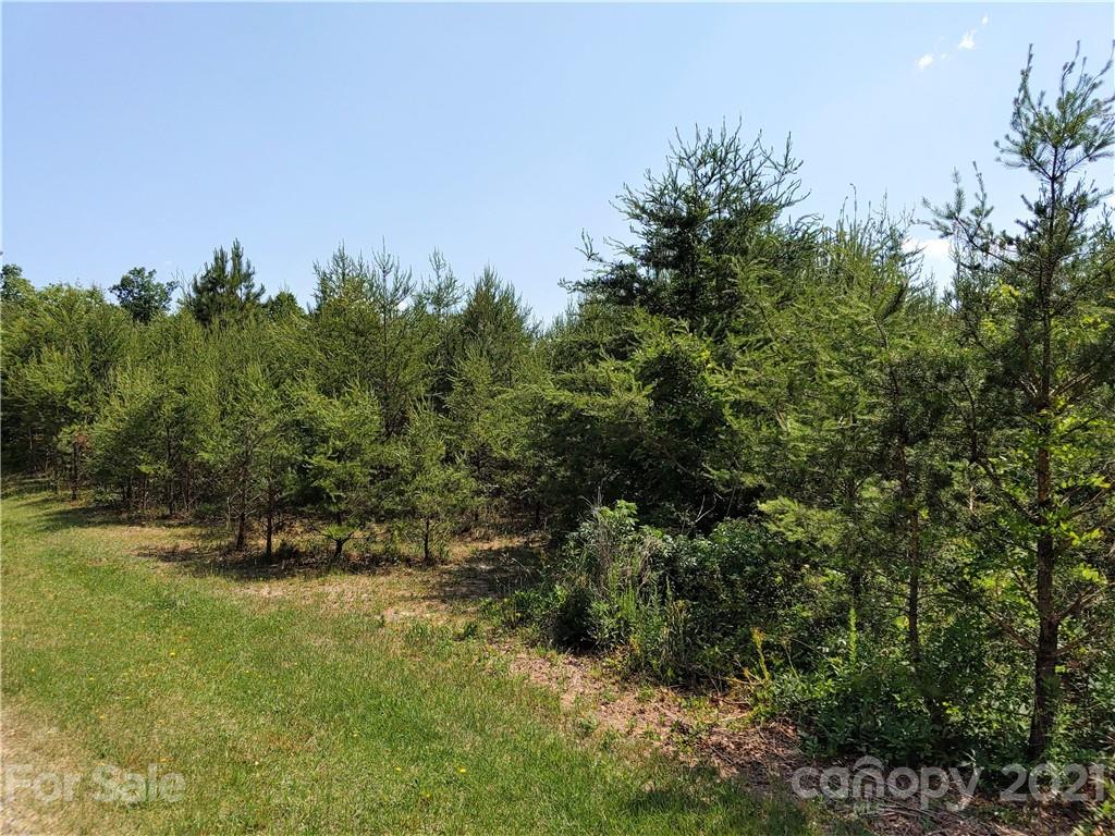 Tbd Grassy Knob Road Mill Spring, NC 28756 - Photo 5 of 5 a view of outdoor space and yard