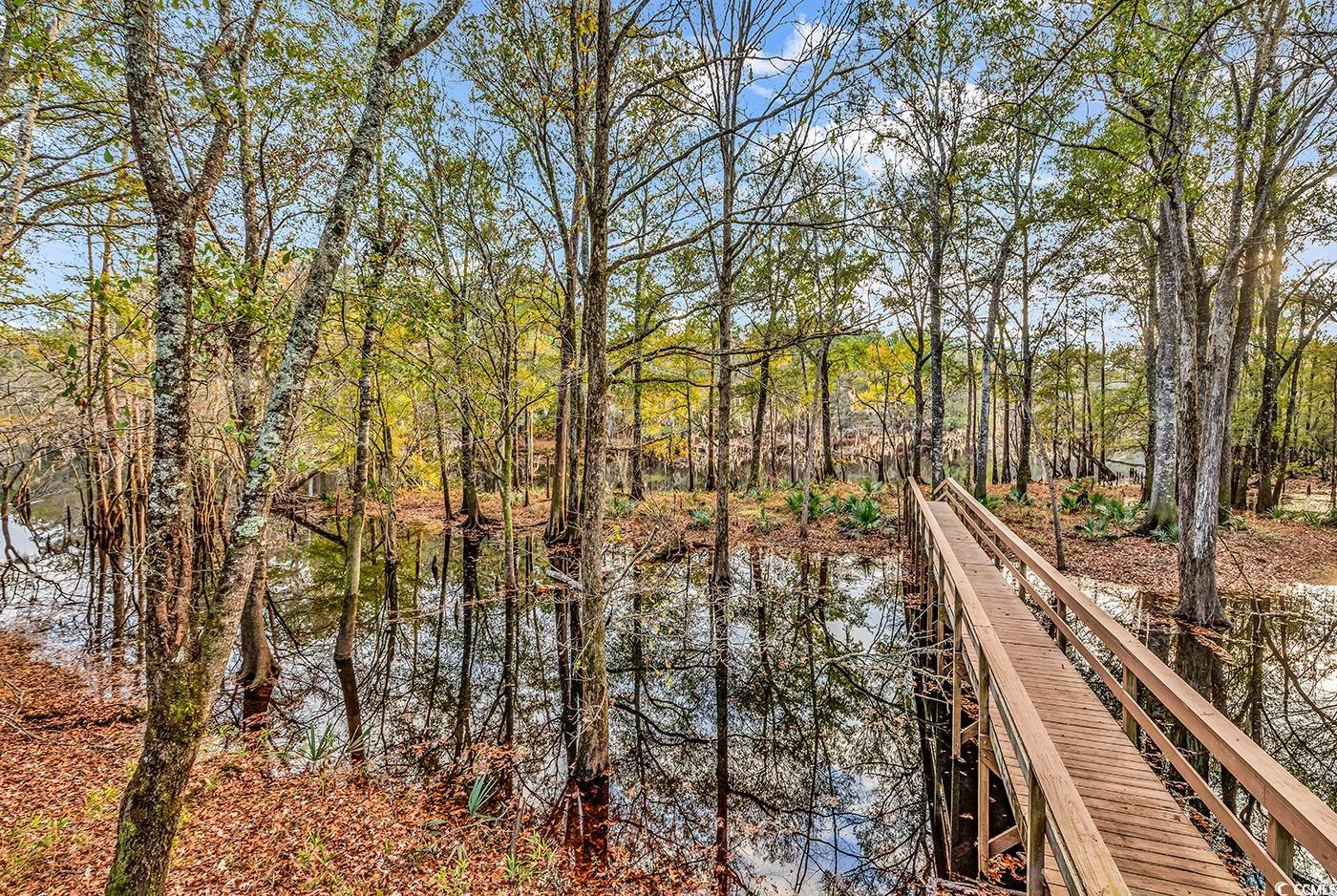 32 Old Place Kingstree, SC 29556 - Photo 20 of 40 View of dock