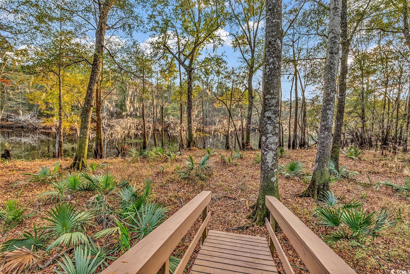 32 Old Place Kingstree, SC 29556 - Photo 21 of 40 View of home's community featuring a forest view