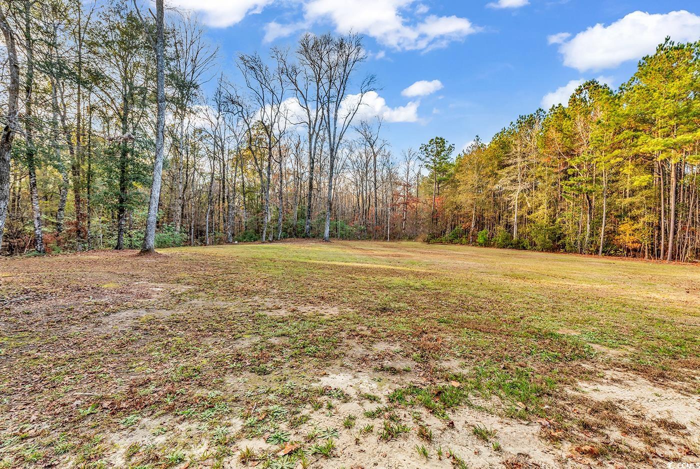 32 Old Place Kingstree, SC 29556 - Photo 22 of 40 View of grassy yard featuring a forest view