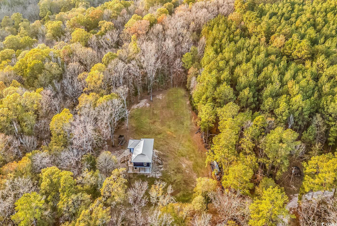 32 Old Place Kingstree, SC 29556 - Photo 36 of 40 Bird's eye view of a heavily wooded area