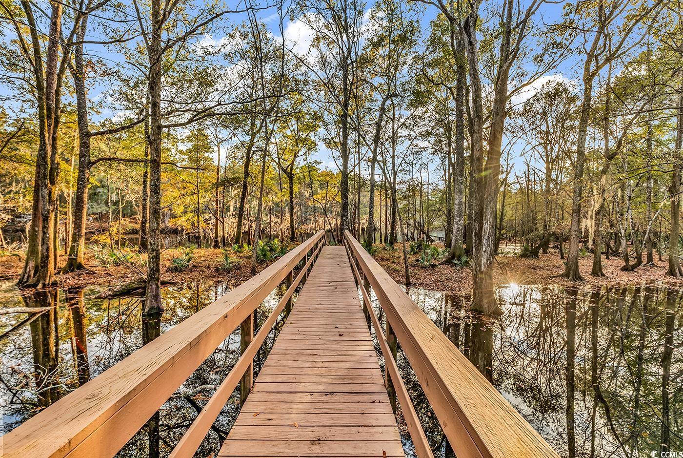 32 Old Place Kingstree, SC 29556 - Photo 39 of 40 View of dock area
