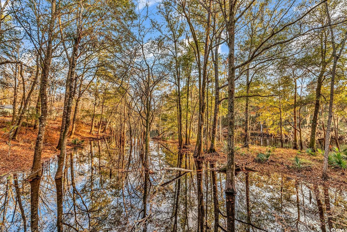 32 Old Place Kingstree, SC 29556 - Photo 40 of 40 Water view