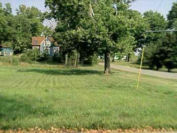 Primary Photo