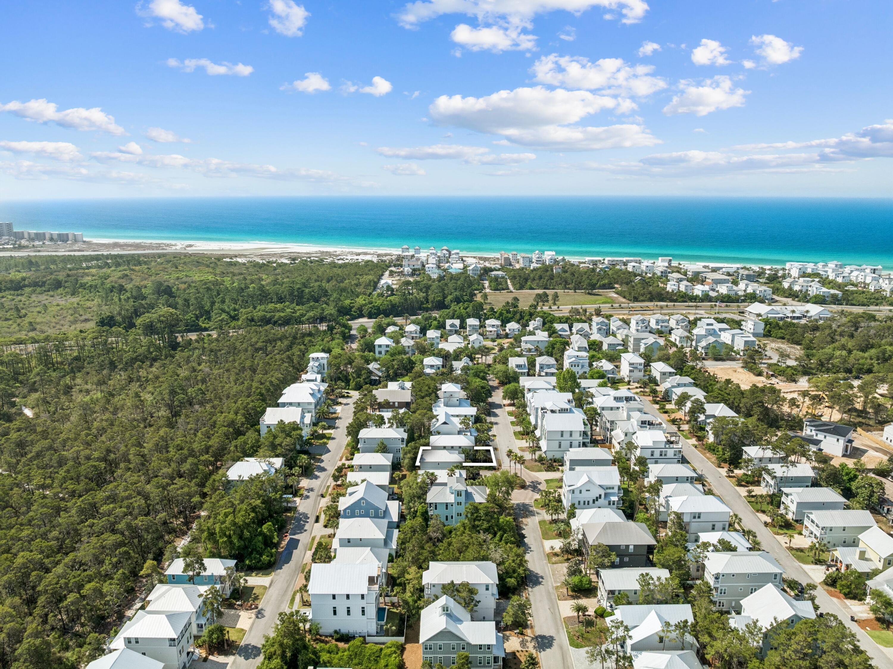 80 Grande Pointe Drive Inlet Beach, FL 32461 - Photo 68 of 68 an aerial view of residential building with trees