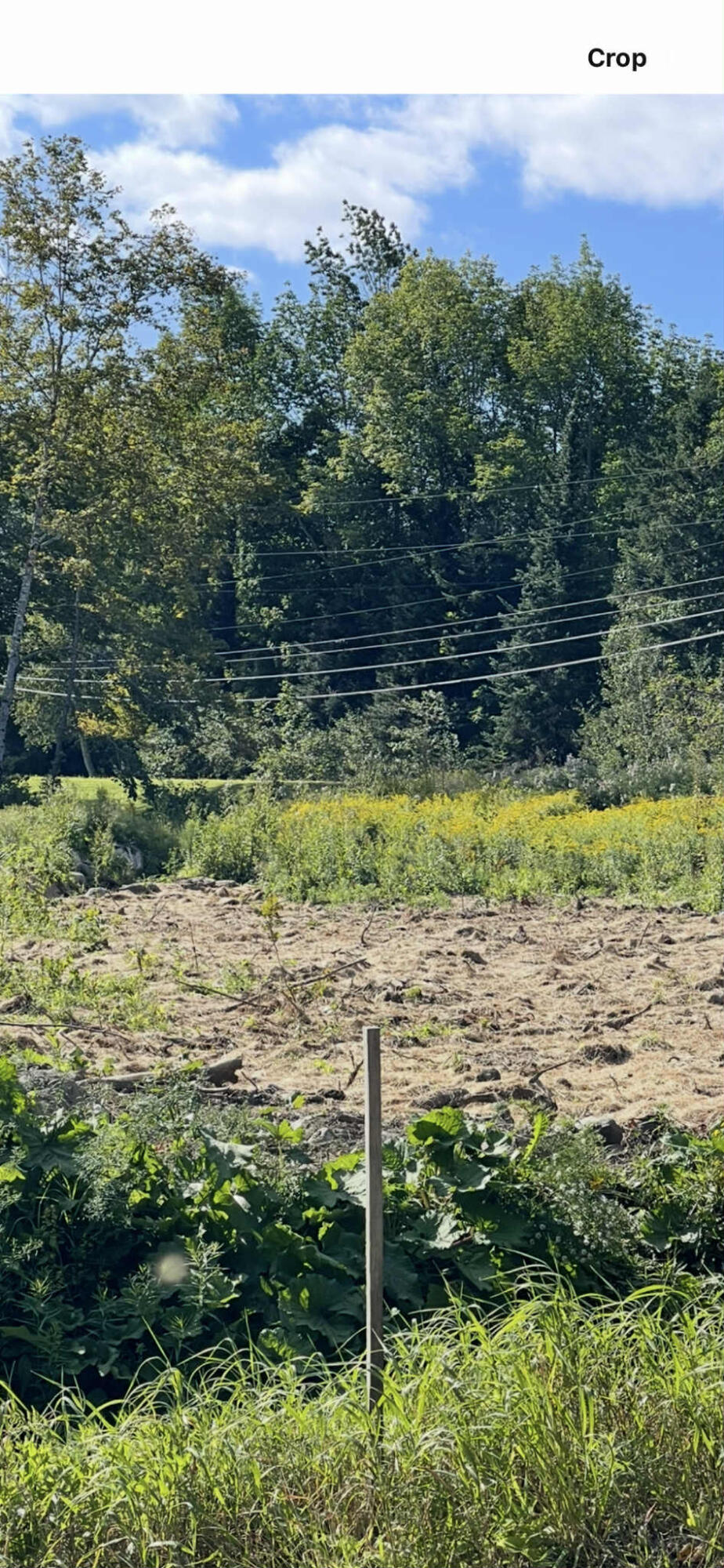 3 Ladd Road Sebec, ME 04481 - Photo 6 of 12