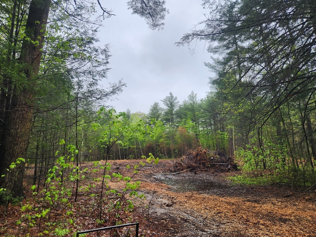 3 L Hiland Road Charlton, MA 01507 - Photo 1 of 3 a view of backyard with green space