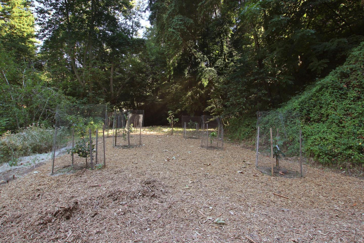 600 Little Bridge Road Soquel, CA 95073 - Photo 45 of 62 Gallery Image 45