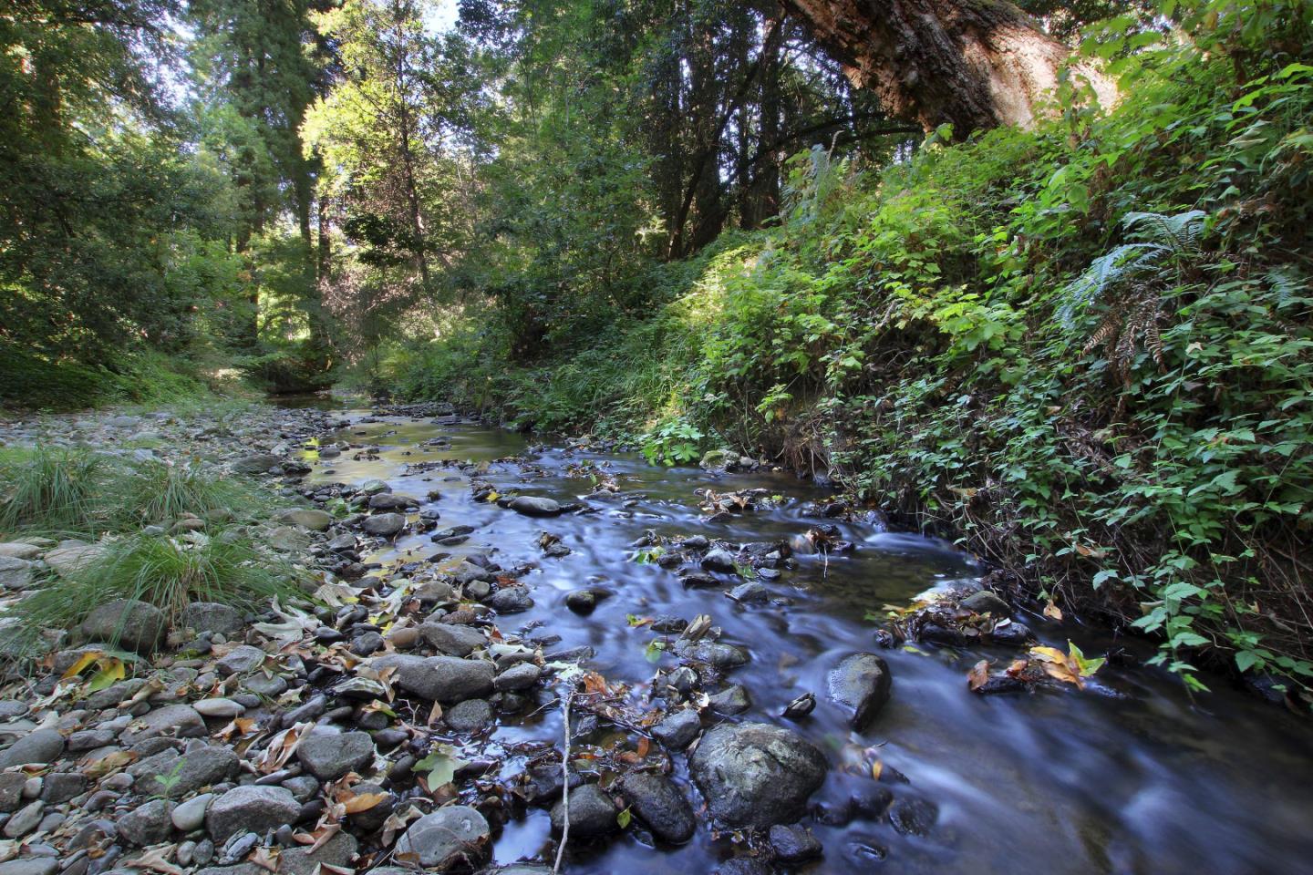 600 Little Bridge Road Soquel, CA 95073 - Photo 49 of 62 Gallery Image 49