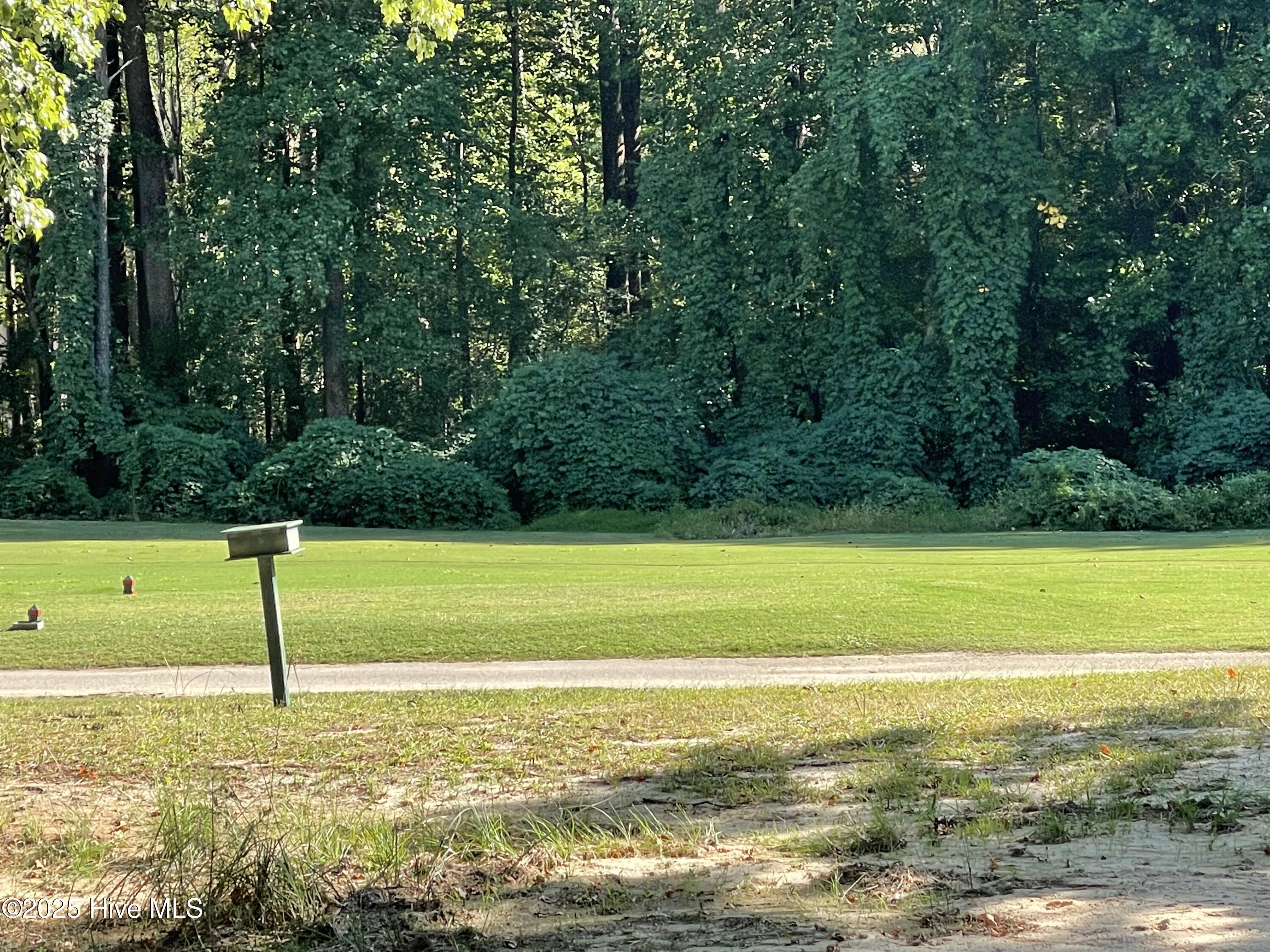 107 Devonshire Avenue West West End, NC 27376 - Photo 23 of 49 red tees