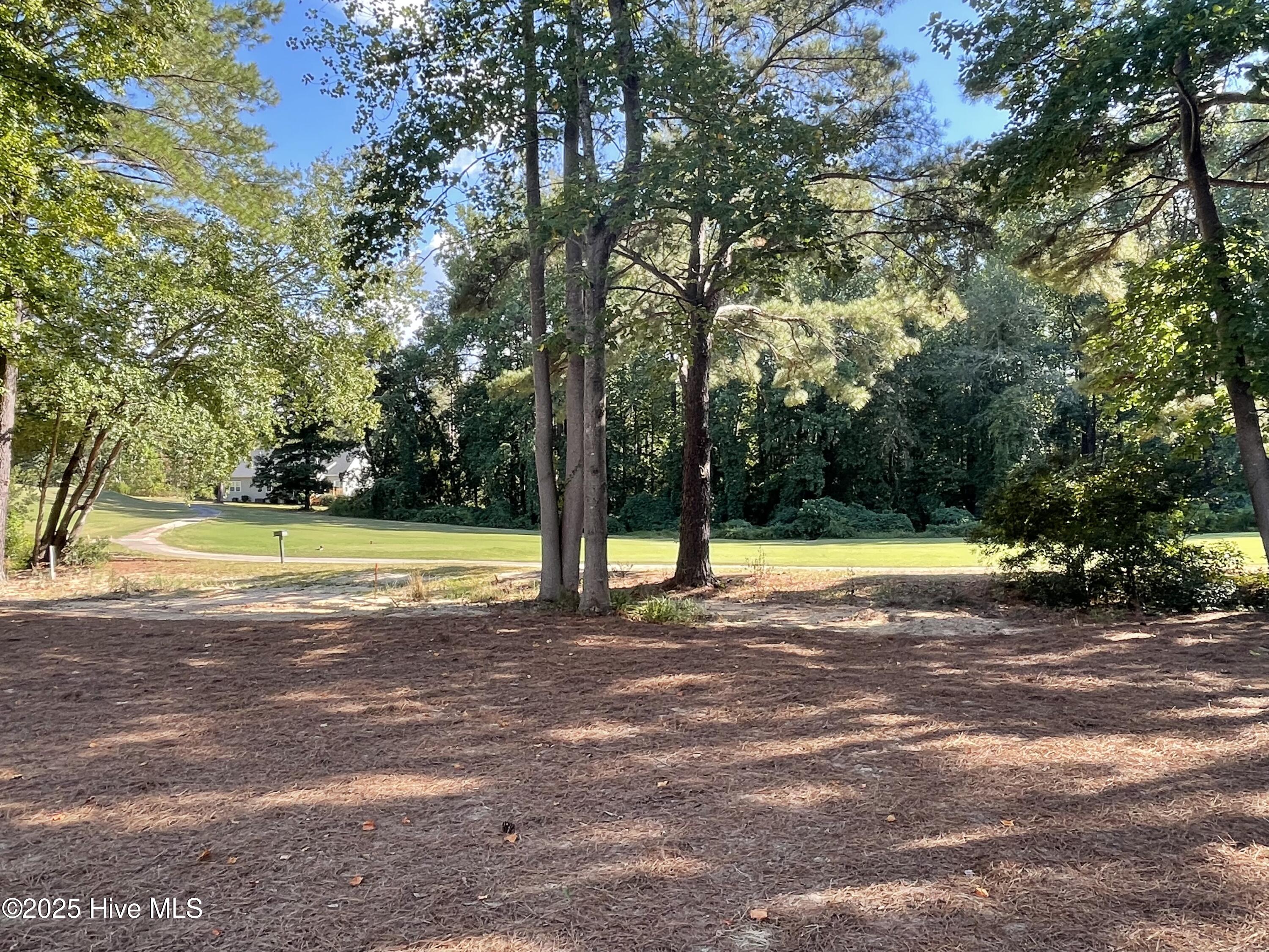 107 Devonshire Avenue West West End, NC 27376 - Photo 24 of 49 golf view