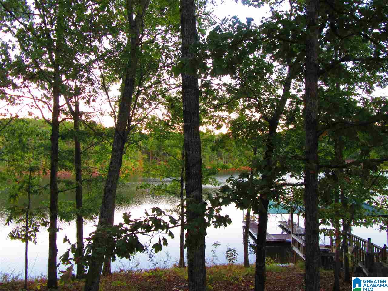 281 Wedowee Al, Unit 66 ACRES Lineville, AL 36266 - Photo 1 of 10