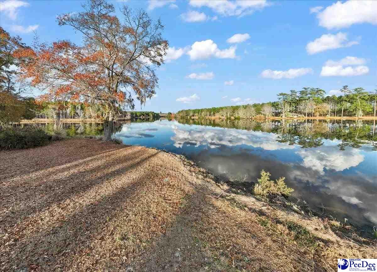739-741 Jones Road Lake City, SC 29560 - Photo 42 of 45 Gallery Image 42