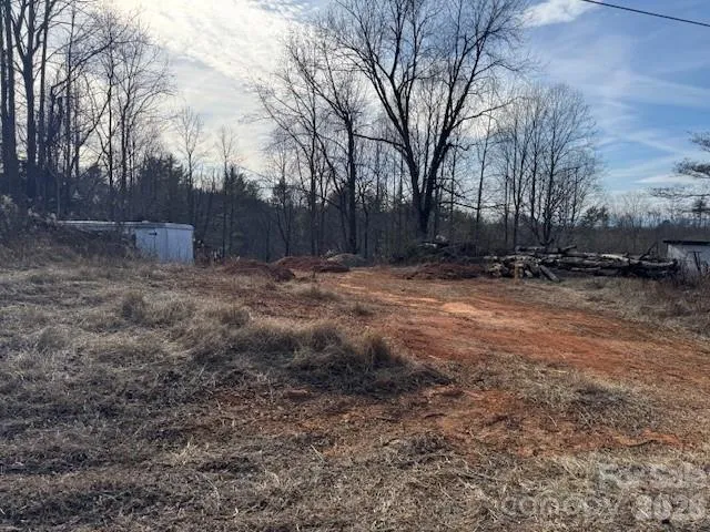 a view of a yard with trees