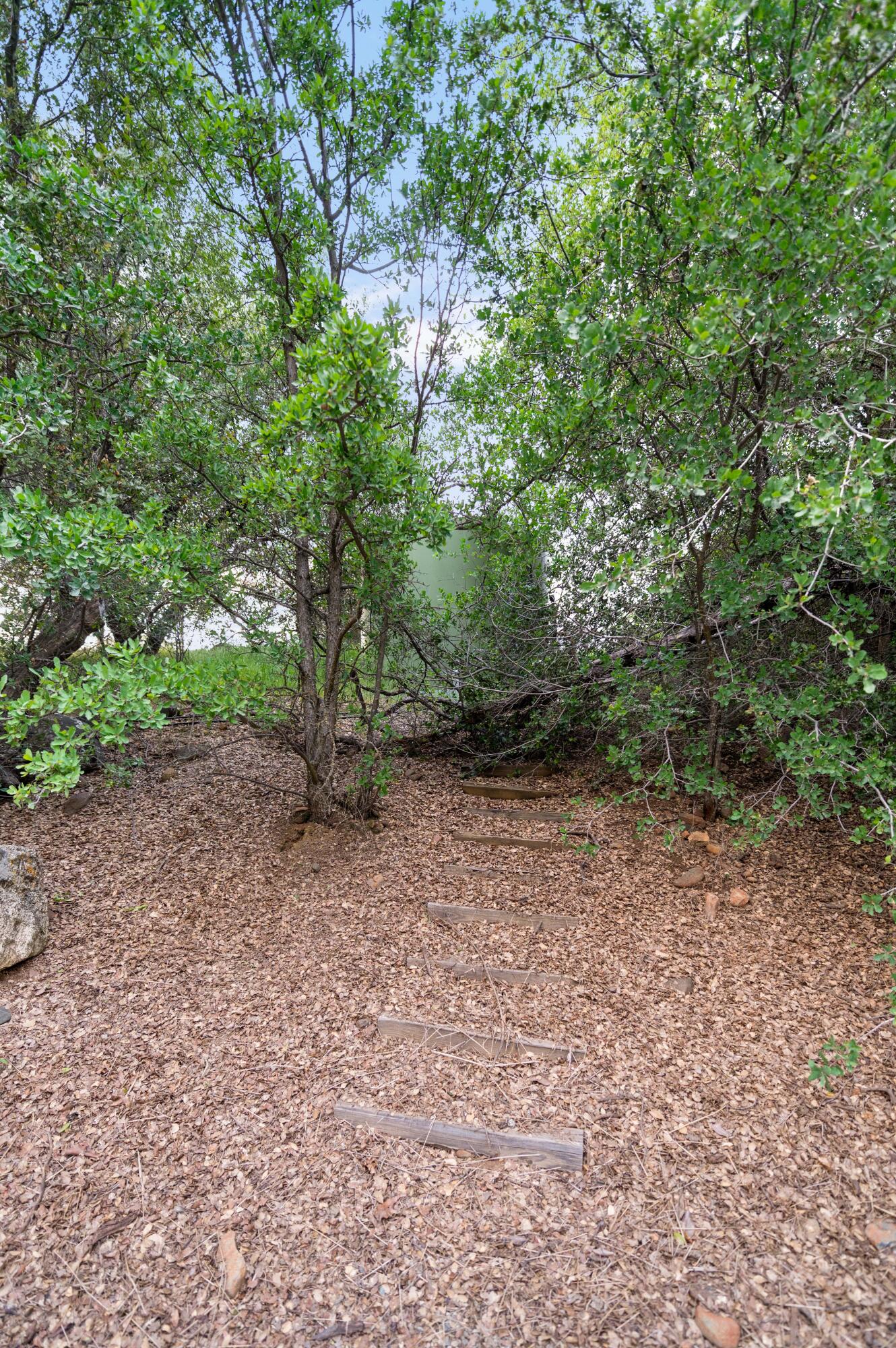 42440 Kaweah River Drive Three Rivers, CA 93271 - Photo 102 of 135 Z62_5870