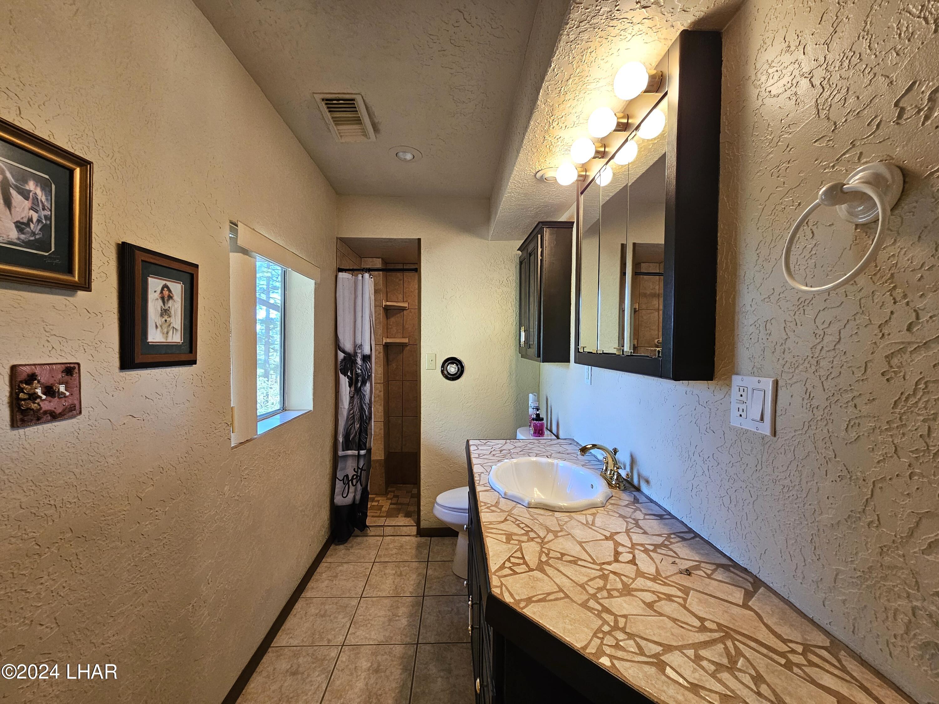 6599 Flag Mine Road Kingman, AZ 86401 - Photo 60 of 63 LOWER BATHROOM W/ WALK IN SHOWER.