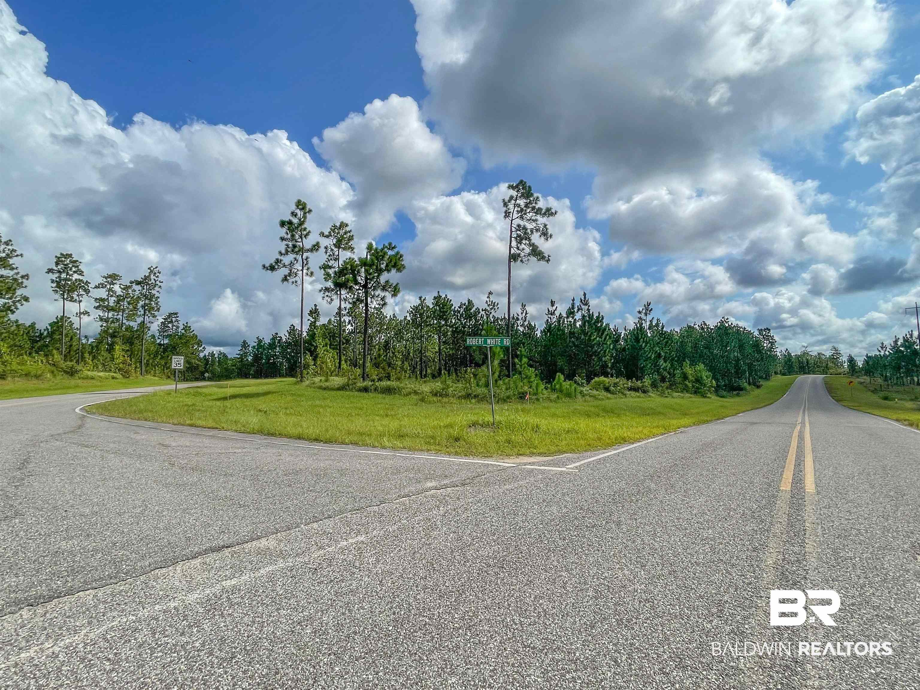 0 Robert White Road Perdido, AL 36562 - Photo 1 of 6