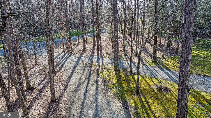 31016 Carioca Road Delmar, MD 21875 - Photo 4 of 96 Gallery Image 4