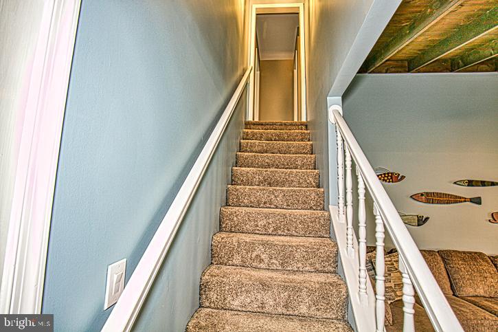 31016 Carioca Road Delmar, MD 21875 - Photo 76 of 96 Gallery Image 76