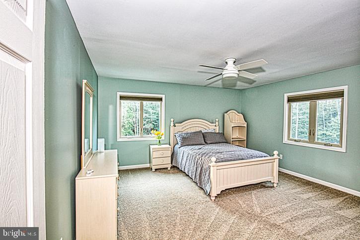 31016 Carioca Road Delmar, MD 21875 - Photo 77 of 96 Gallery Image 77