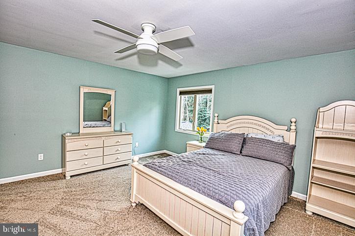 31016 Carioca Road Delmar, MD 21875 - Photo 78 of 96 Gallery Image 78