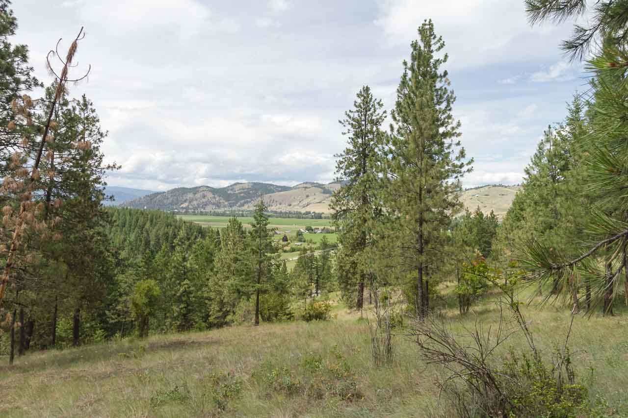 700-blk F Hoffman Road Kettle Falls, WA 99141 - Photo 14 of 19
