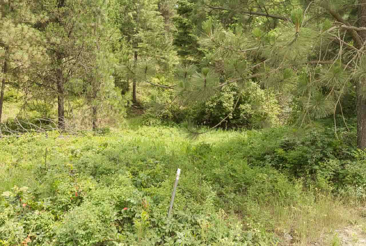 700-blk F Hoffman Road Kettle Falls, WA 99141 - Photo 17 of 19