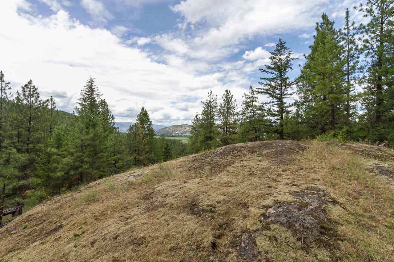 700-blk F Hoffman Road Kettle Falls, WA 99141 - Photo 3 of 19