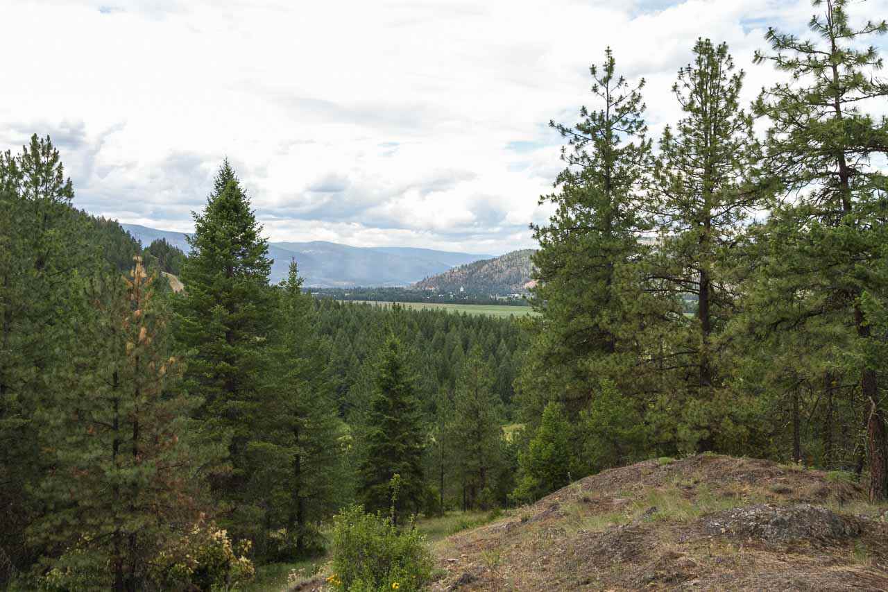 700-blk F Hoffman Road Kettle Falls, WA 99141 - Photo 4 of 19