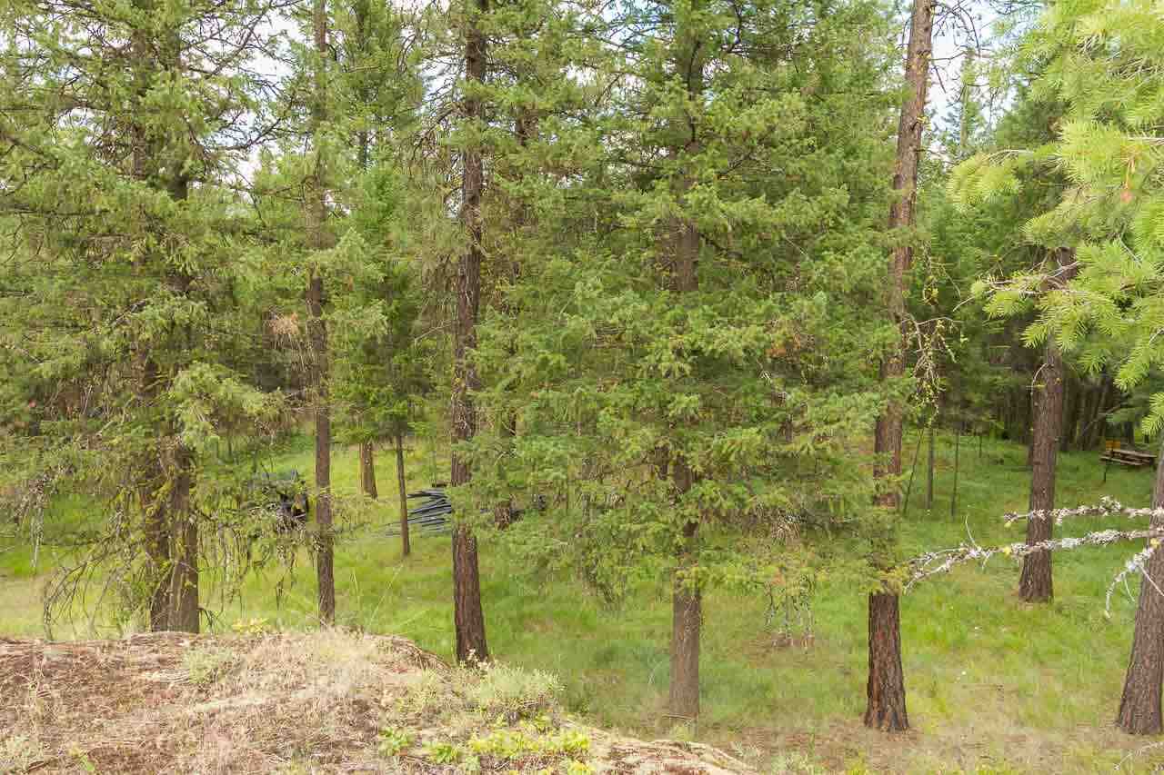700-blk F Hoffman Road Kettle Falls, WA 99141 - Photo 5 of 19