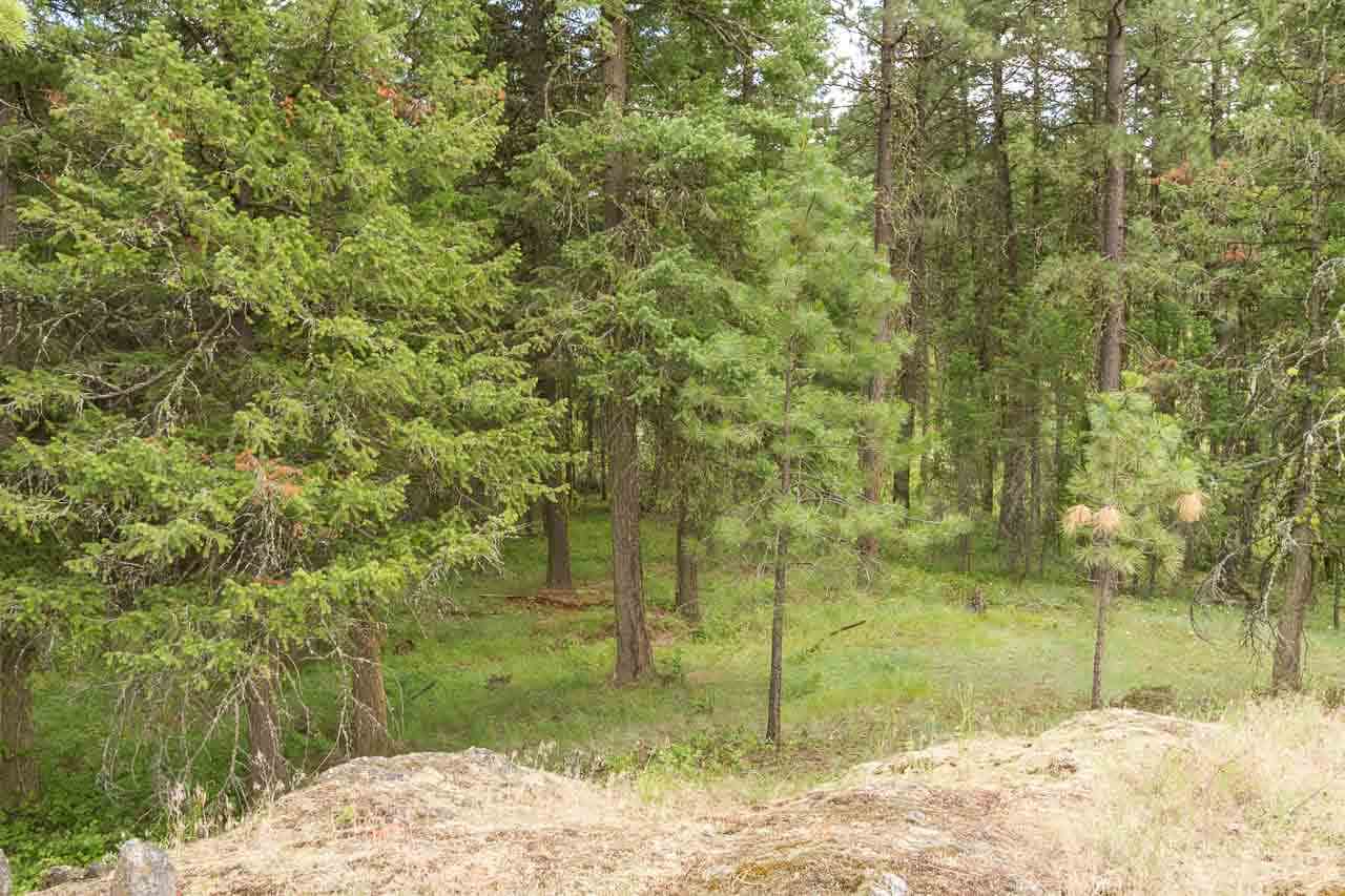 700-blk F Hoffman Road Kettle Falls, WA 99141 - Photo 6 of 19
