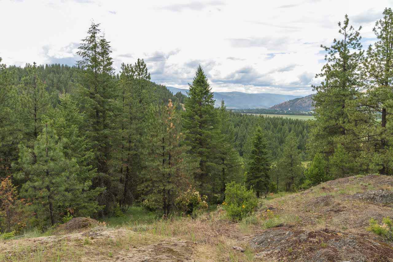 700-blk F Hoffman Road Kettle Falls, WA 99141 - Photo 7 of 19