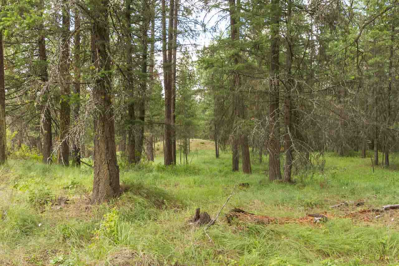 700-blk F Hoffman Road Kettle Falls, WA 99141 - Photo 8 of 19