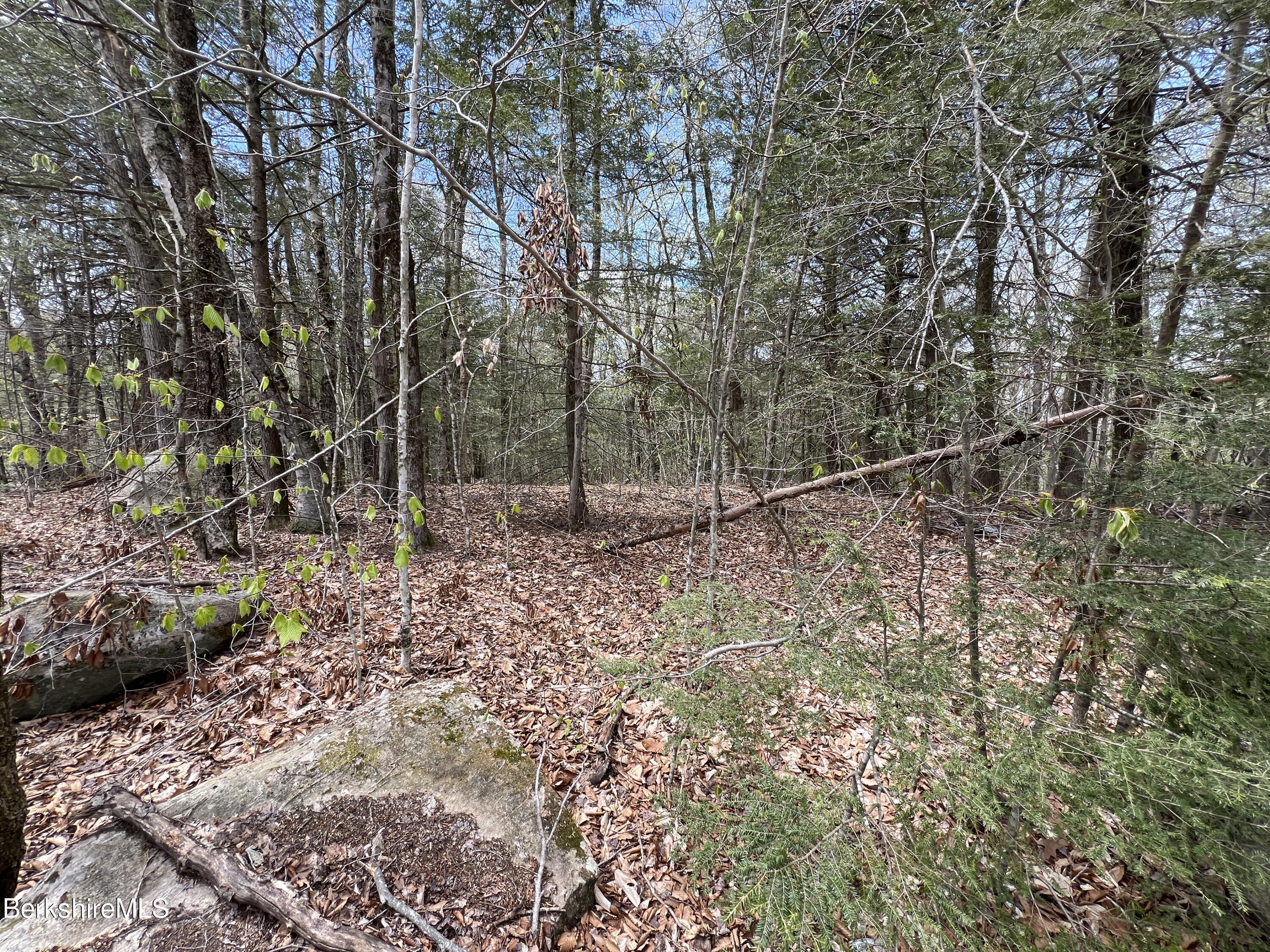 Lot32 Valley View Road Becket, MA 01223 - Photo 3 of 7 a backyard of a house with lots of green space
