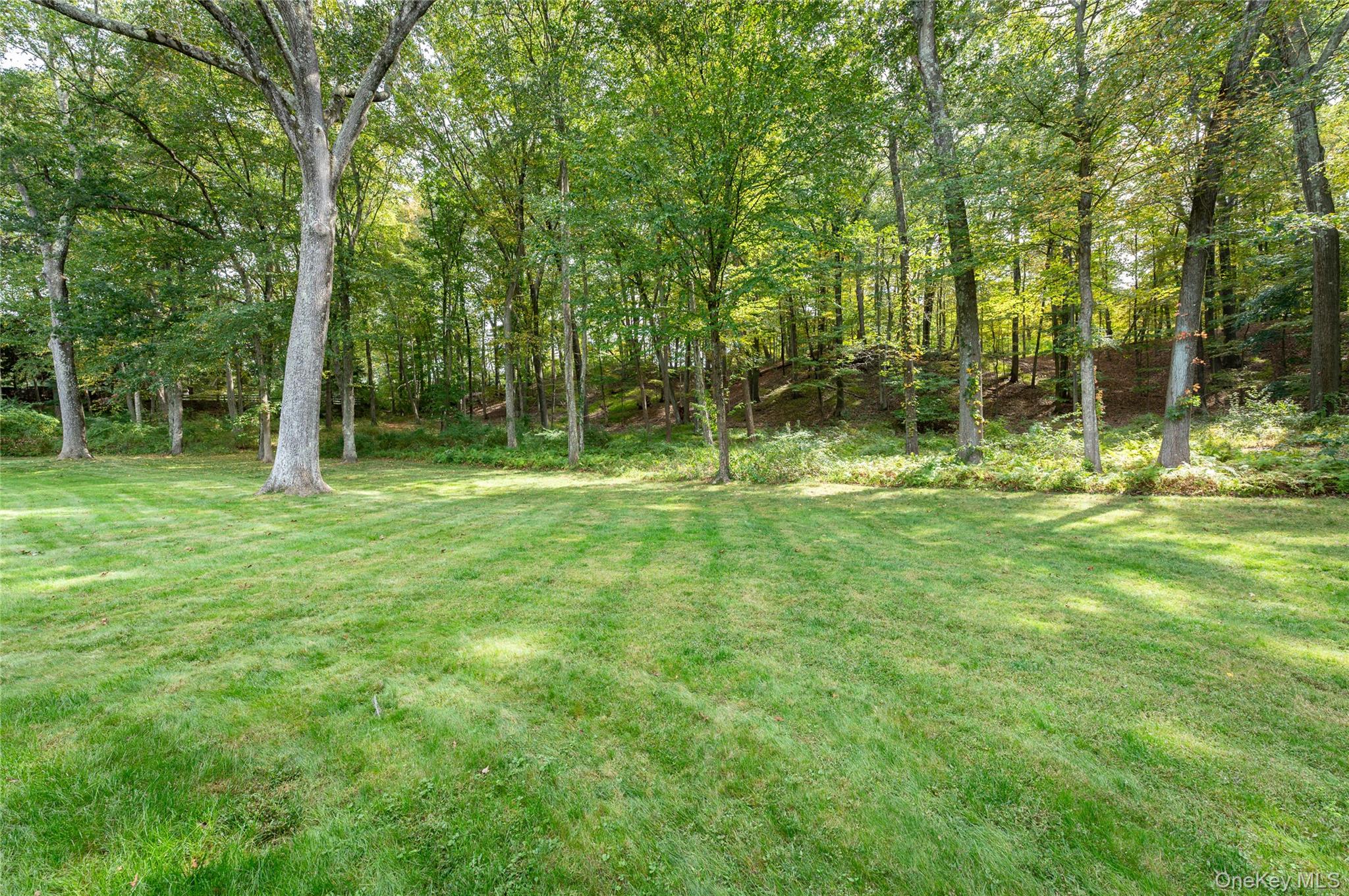 28 Alice Road Mount Kisco, NY 10549 - Photo 32 of 32 a backyard of a house with lots of green space and deers