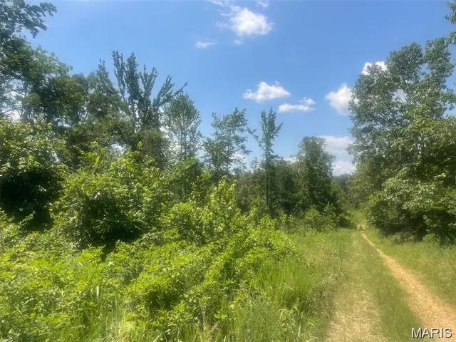 $179,500 | 0 County Road 478, Poplar Bluff, MO 63901