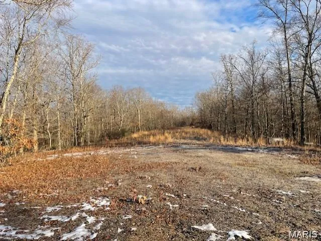 $179,500 | 0 County Road 478, Poplar Bluff, MO 63901