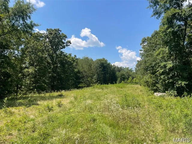 $179,500 | 0 County Road 478, Poplar Bluff, MO 63901