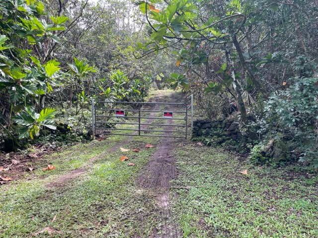 14-4792 Sadileck Road Pahoa, HI 96778 - Photo 19 of 30 a backyard of a house with lots of green space
