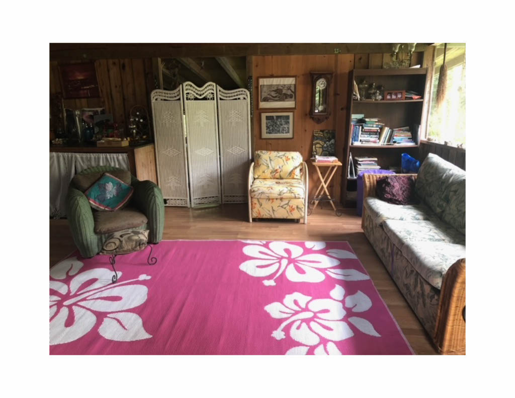14-4792 Sadileck Road Pahoa, HI 96778 - Photo 2 of 30 a living room with furniture and a couch