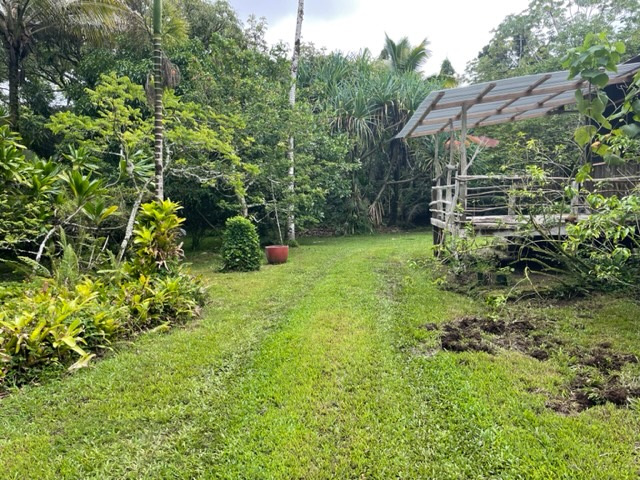 14-4792 Sadileck Road Pahoa, HI 96778 - Photo 23 of 30 a view of a garden